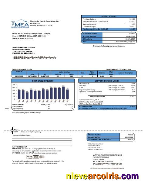 USA MEA Alaska electricity business utility bill